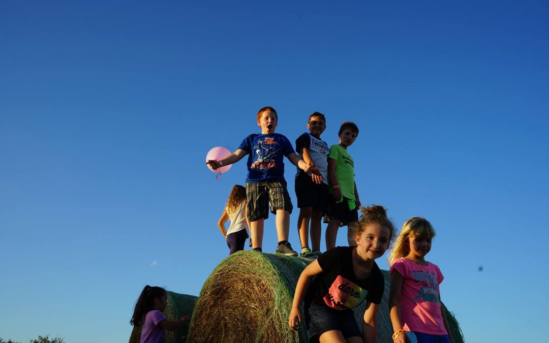 Children’s Pumpkin Patch Adventure