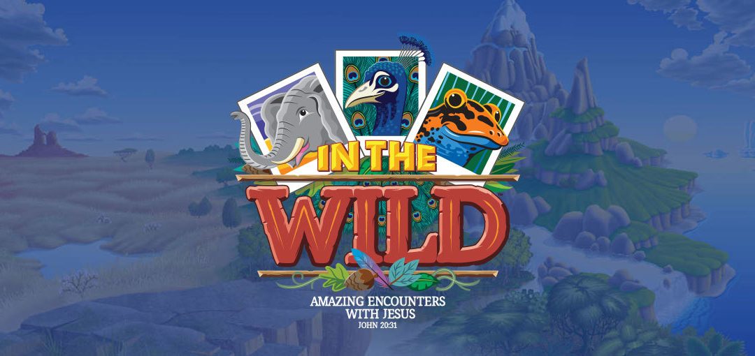 VBS 2019